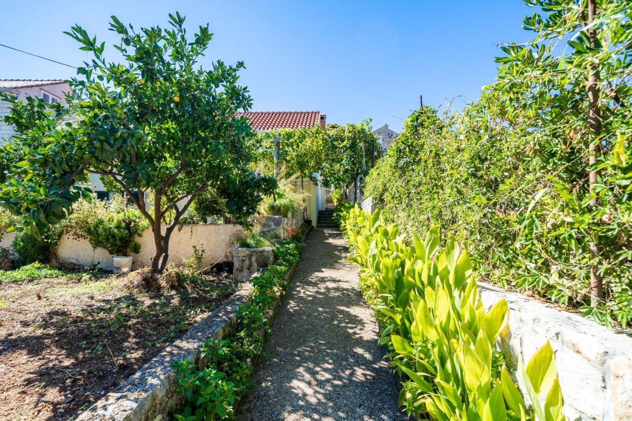 Apartments Lidija Zaton  Εξωτερικό φωτογραφία